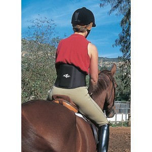 Professional's Choice Lower Back Support